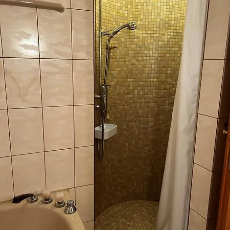 Apartment 2.5 Zimmer Davos Platz Bolgen