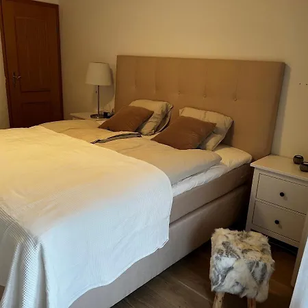 2.5 Zimmer Davos Platz Bolgen
